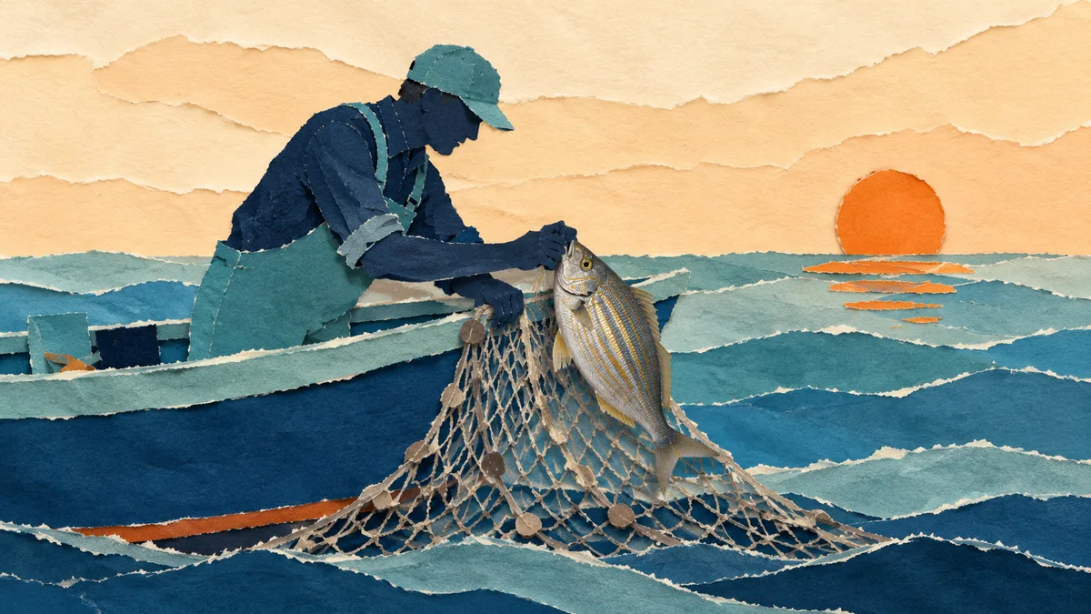 Salpa — Pesca e rapporto con l'uomo